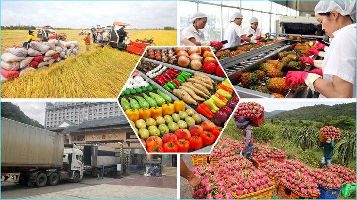 Xuất nhập khẩu trái cây